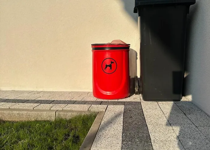 Nowa - Na Wynajem * Olza